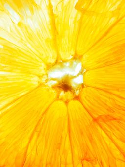 Vit C