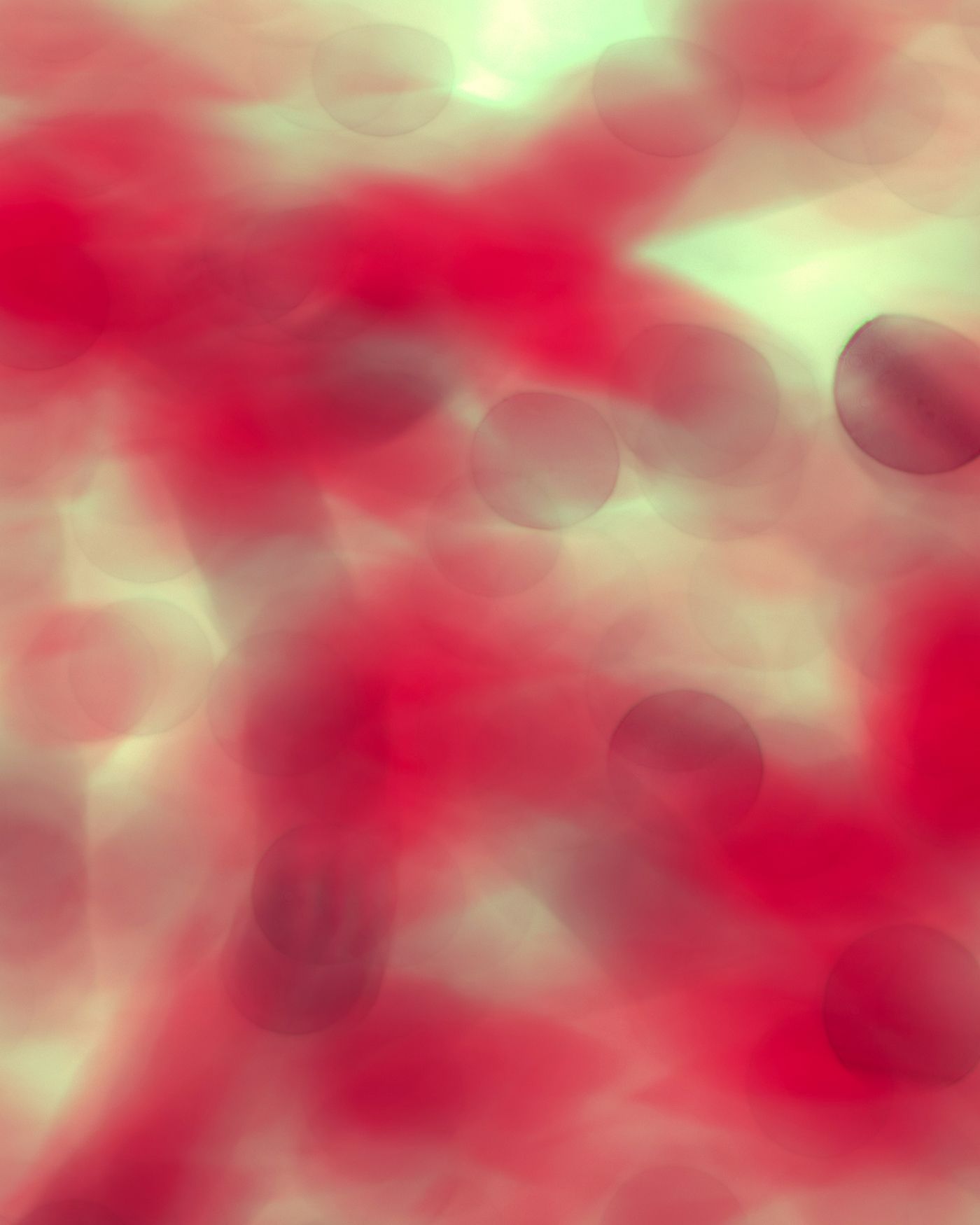 Gut-friendly Bacteria