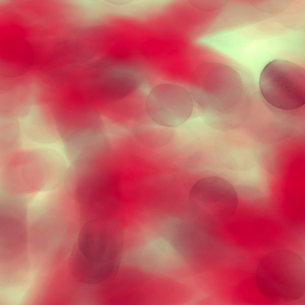 Gut-friendly Bacteria